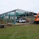 Halle Amend 1