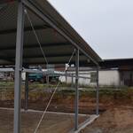 Halle Amend 2